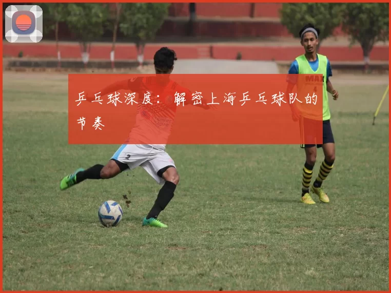 乒乓球深度：解密上海乒乓球队的节奏