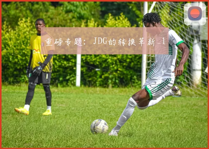 重磅专题：JDG的转换革新_1