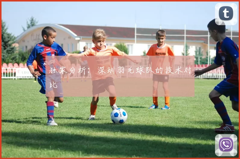 独家分析：深圳羽毛球队的技术对比