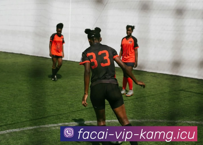 多媒体互动体验