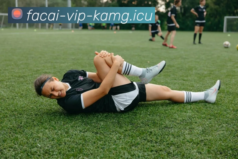 九游体育APP 高清赛事图